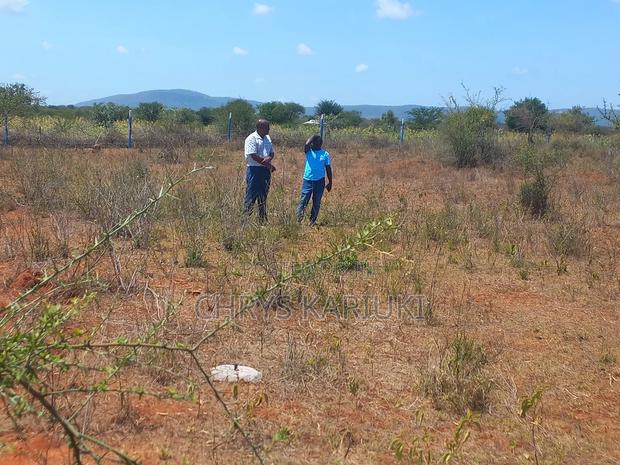 Fast Growing Kithyoko Plots - thumbnail 5