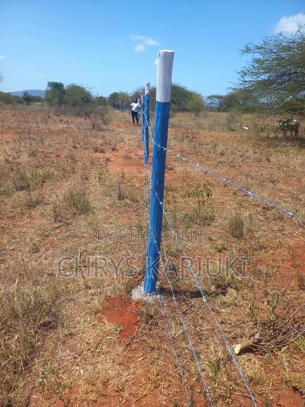 Fast Growing Kithyoko Plots - thumbnail 6