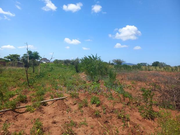 Fast Growing Kithyoko Plots - thumbnail 7