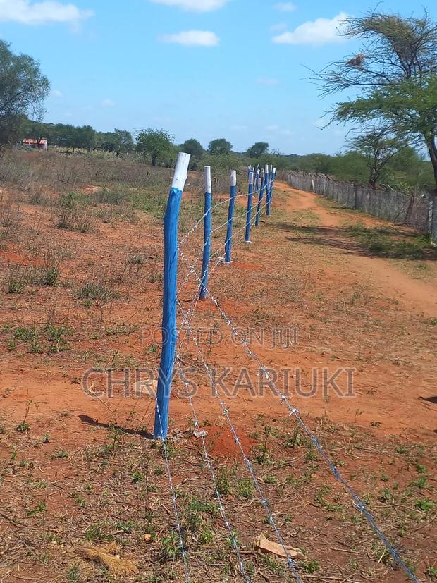 Fast Growing Kithyoko Plots - thumbnail 8