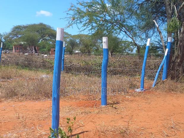 Fast Growing Kithyoko Plots - thumbnail 9