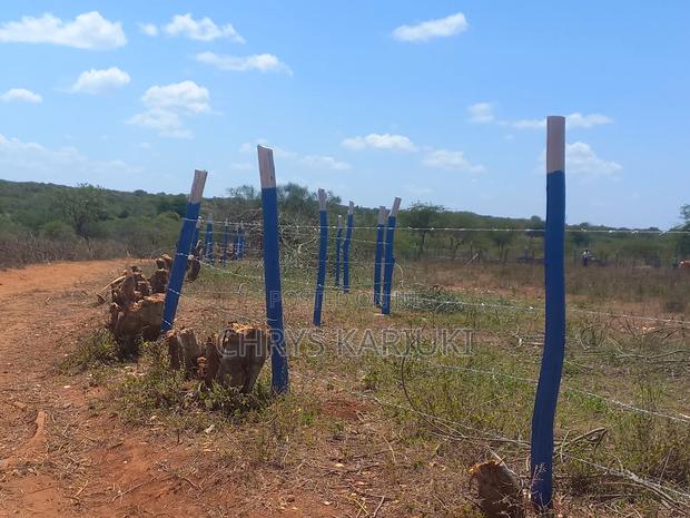 Fast Growing Kithyoko Plots - thumbnail 10