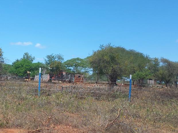 Fast Growing Kithyoko Plots - thumbnail 11