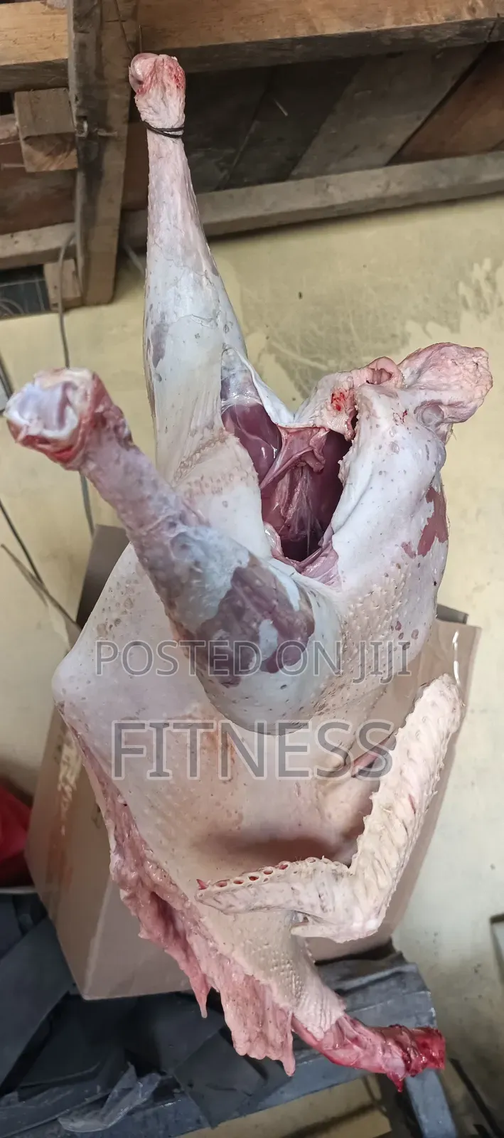 Turkey Chicks, Mature and Turkey Meat