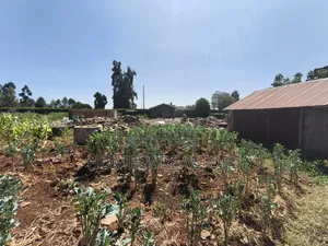 Quarter Acre Red Soil Plot in Kerarapon Drive, Ngong. Gated Plot