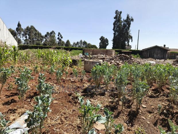 Quarter Acre Red Soil Plot in Kerarapon Drive, Ngong. Gated Plot - thumbnail 7