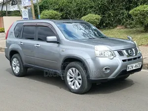 Nissan X-Trail 2.0 Petrol XE 2011 Gray