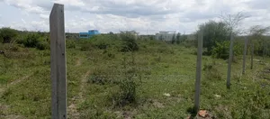 Land for Sale in Kenanie