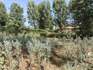 Quarter Acre Corner Plot on Sale in Kerarapon Drive. Residential Land