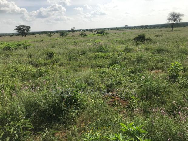 Land for Sale - thumbnail 2