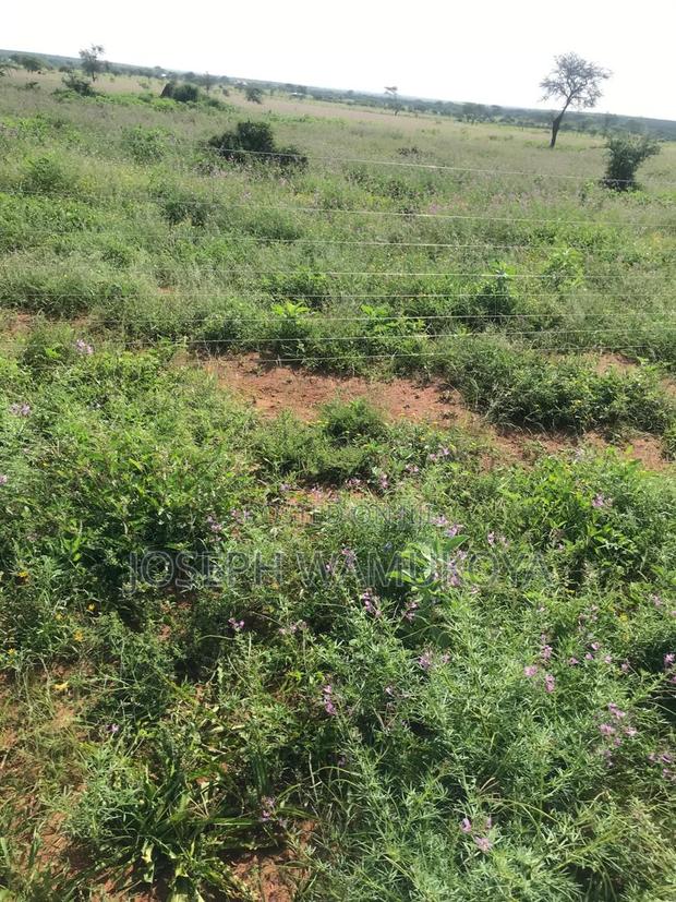 Land for Sale - thumbnail 3