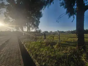 Land for Sale in Karen
