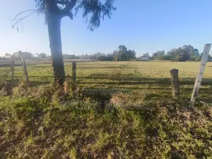 Land for Sale in Karen