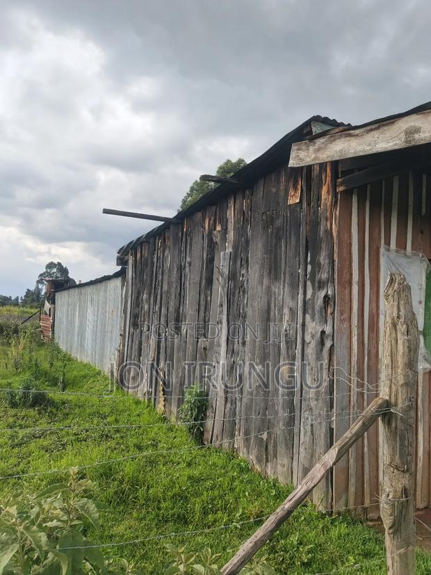 50x100 Plot For Sale In Ngobit,Laikipia Cou - main view