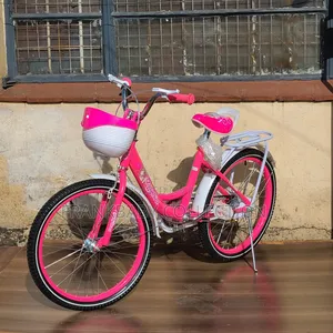 Girl's Princess Bicycle. Size 20 Bike
