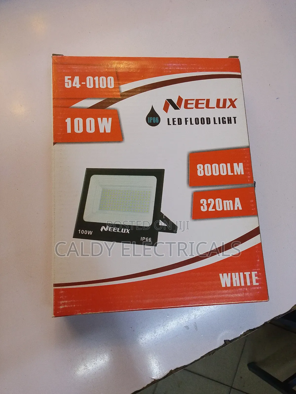 Neelux 100w Floodlight