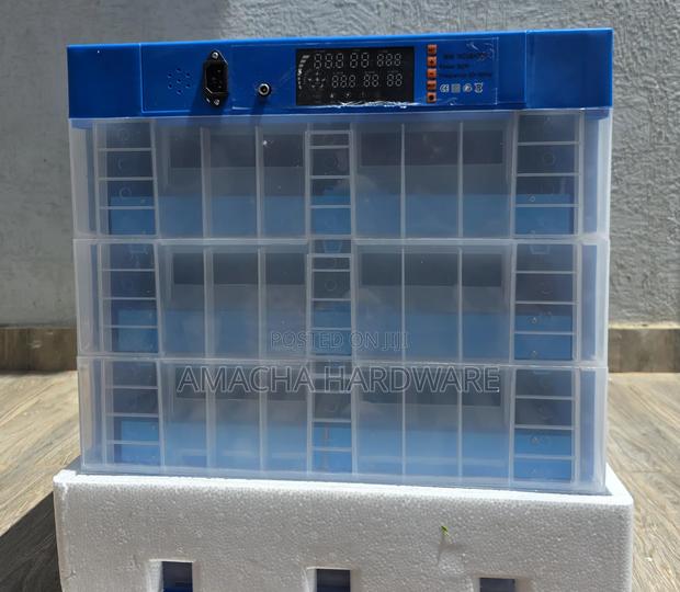 Ac/Dc 256 Eggs Incubator