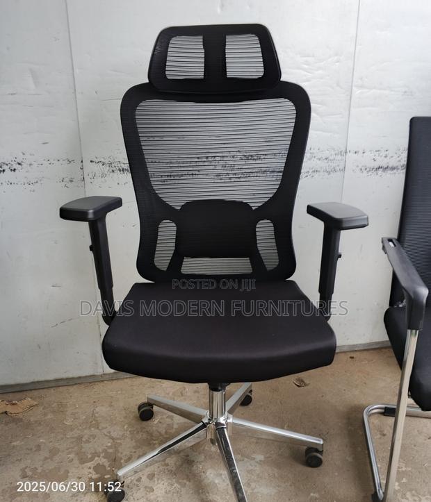Premium Ergonomic Mesh Office Chair - main view