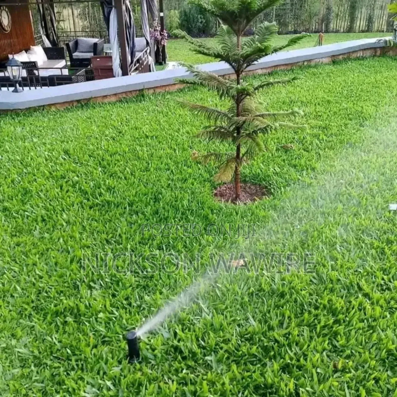 Landscaping and Home Decor