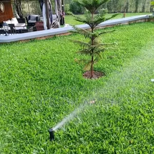 Landscaping and Home Decor