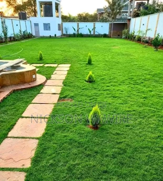 Landscaping and Home Decor - thumbnail 2