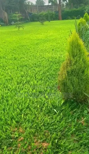 Landscaping and Home Decor