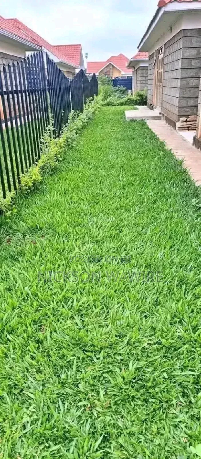 Landscaping and Home Decor
