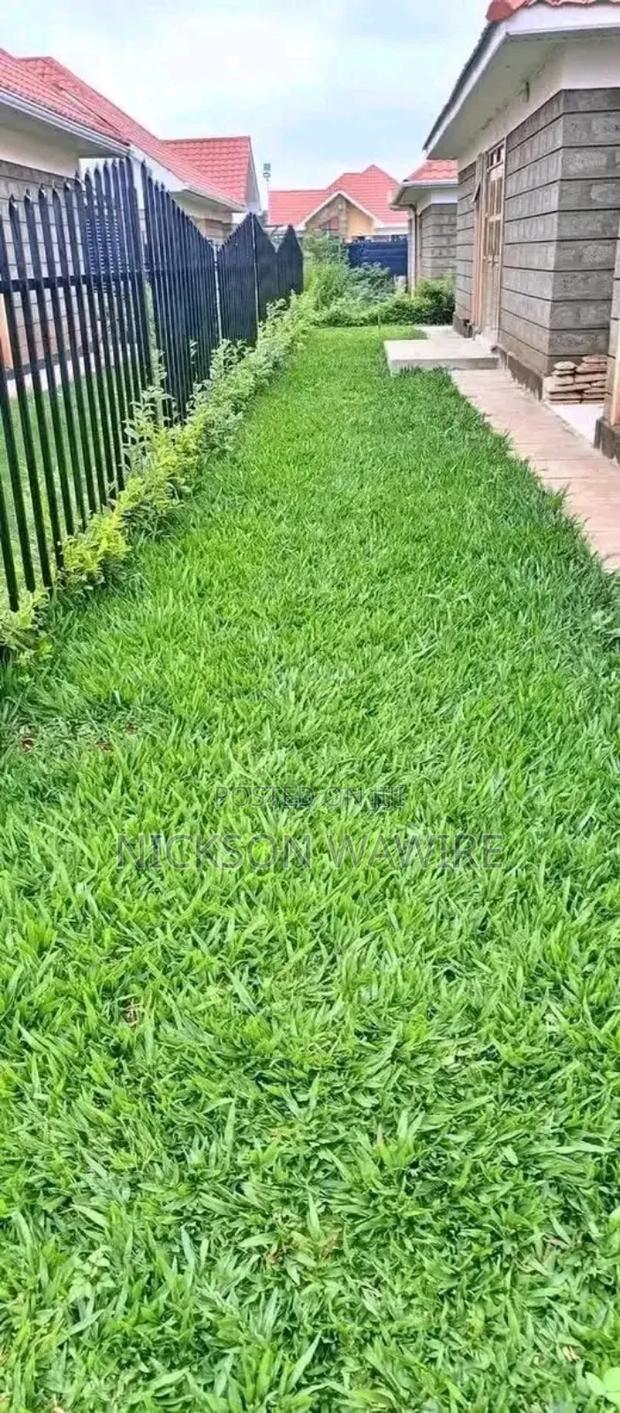 Landscaping and Home Decor - thumbnail 6