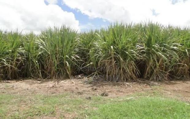 1/2 Acre Bungoma - thumbnail 3