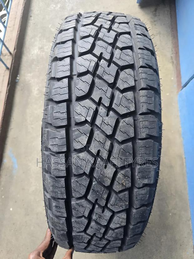 265/70r18 Delmax Tyre (10pr) - main view