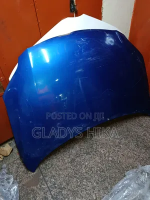 Ex Japan Bonnet for Fielder 141 on Sale