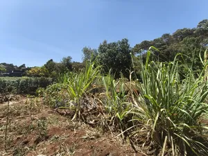 Residential Half Acre Piece of Land for Sale in Kerarapon Drive