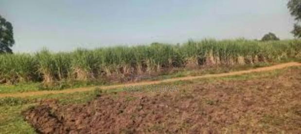 1/2 Acre Bungoma - thumbnail 4