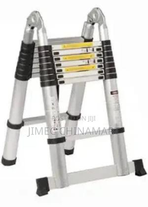 Folding Telescopic Ladders - main view
