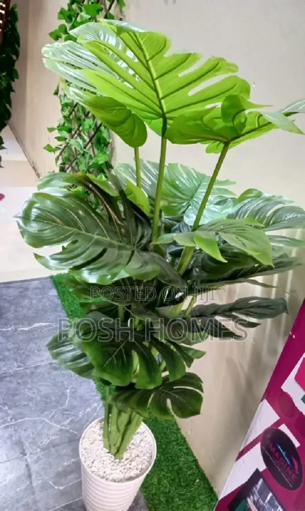Artificial Plants and With Vases