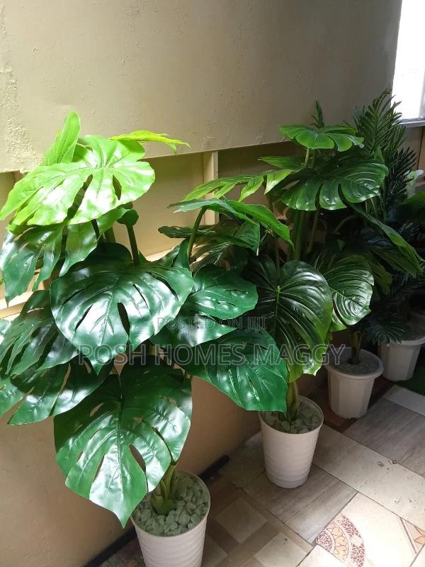 Artificial Indoor and Outdoor Plants - main view