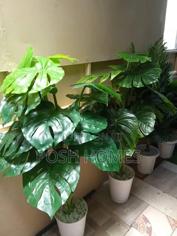 Artificial Indoor and Outdoor Plants