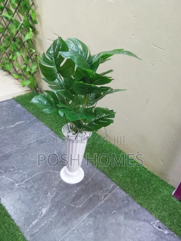 Beautiful Affordable Plants - main view