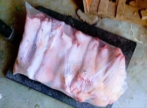 Vidolo Pet Accesories - main view