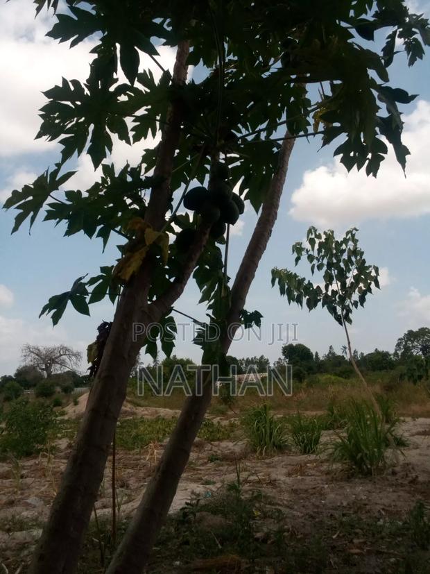 Land for Sell - main view