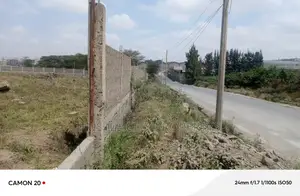 Commercial Property For Sale