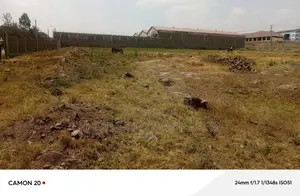 Commercial Property For Sale