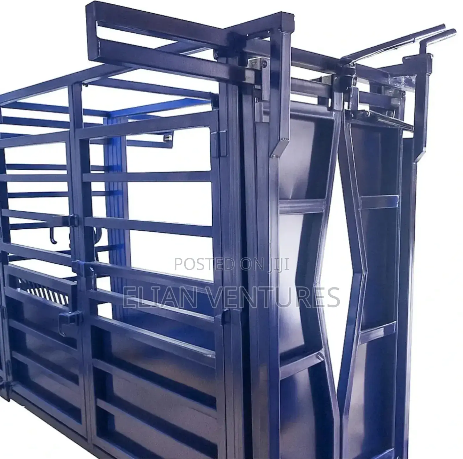 New Cattle Weighing Scale (Big)