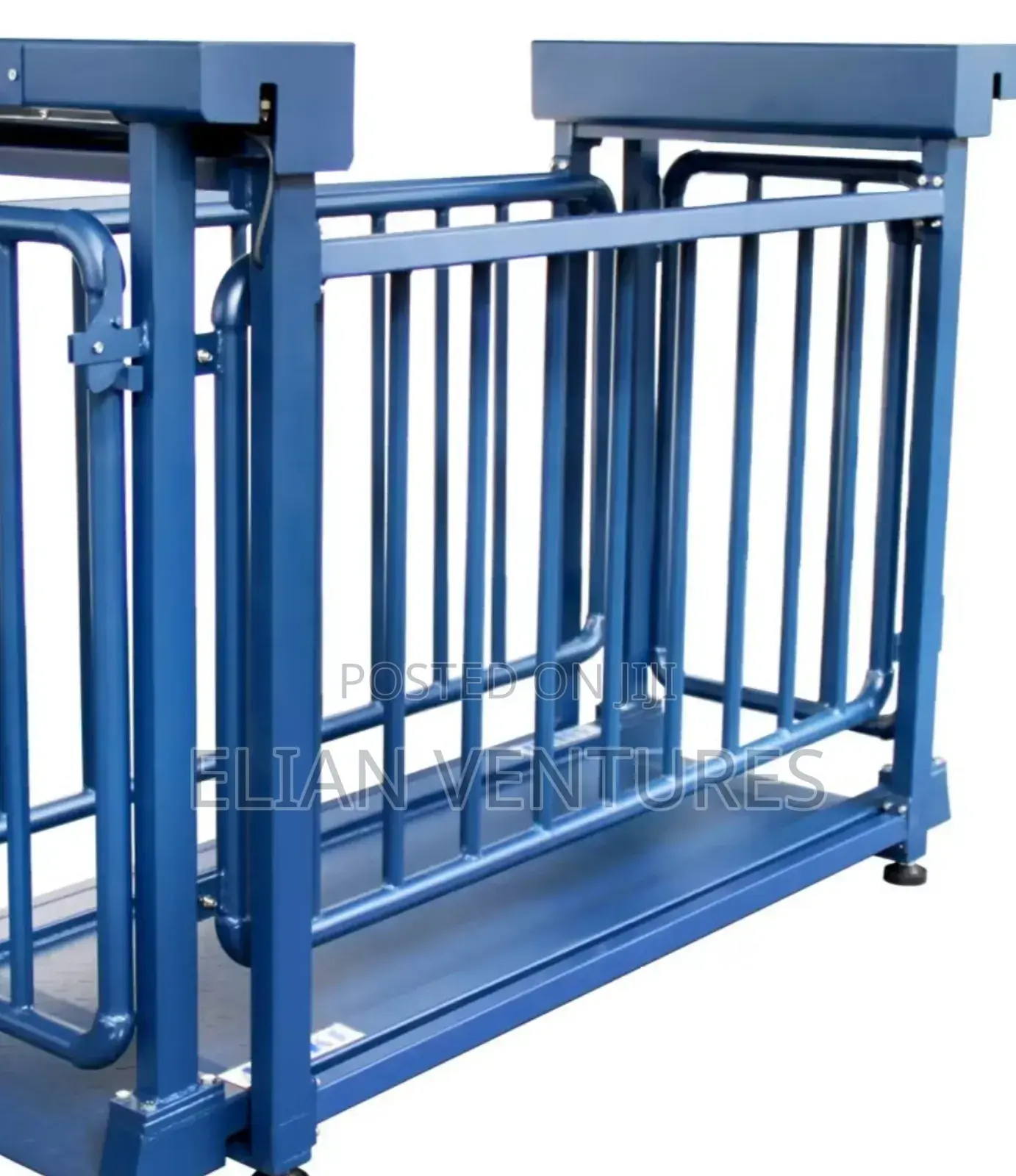 Brand New Small Cattle Weighing Scale