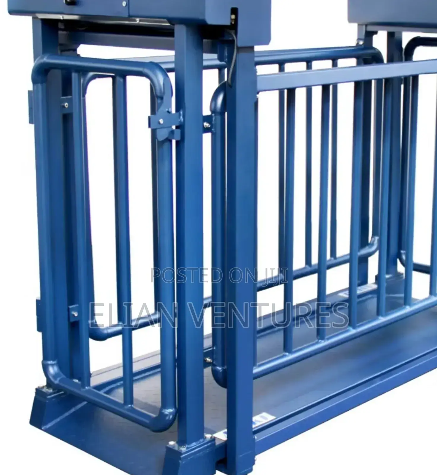 Heavy-Duty Small Cattle Weighing Scale