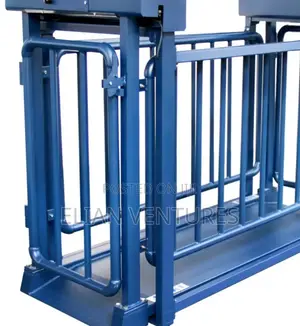 Heavy-Duty Small Cattle Weighing Scale