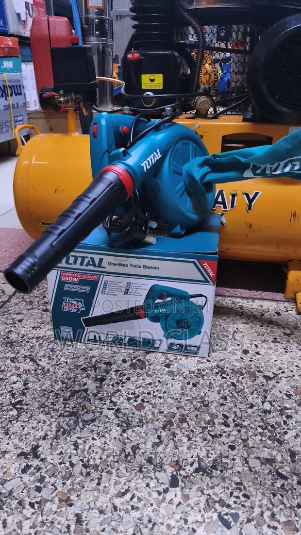 Total 650w Dry Blower - main view