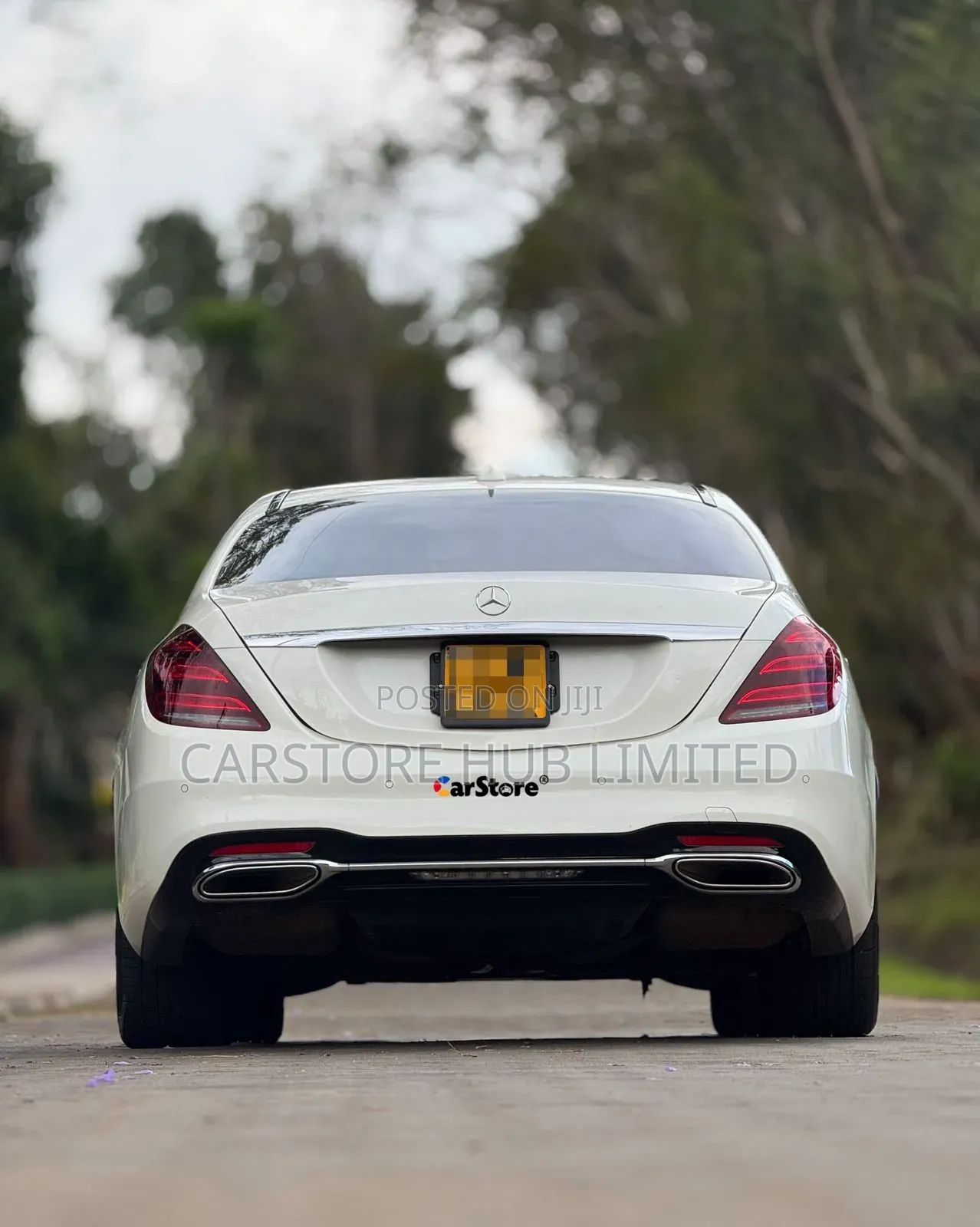 Mercedes-Benz S-Class S 450 4MATIC L (V222) 2018 White