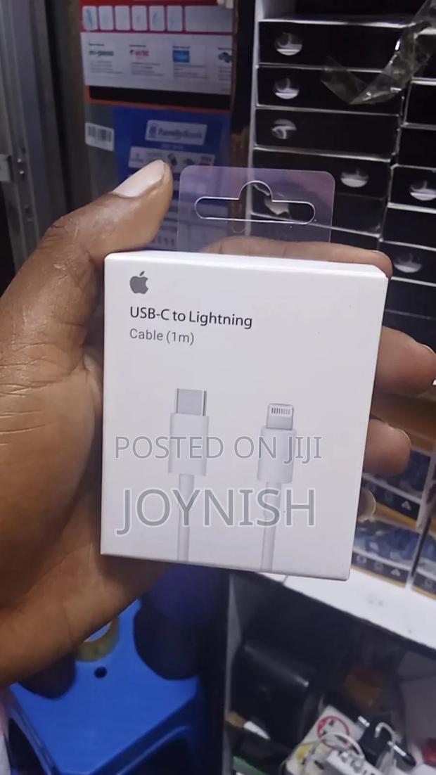 iPhone Cable Usb C to C Lightning - main view