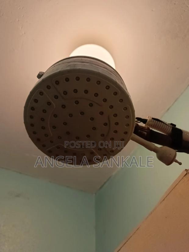 Shower Head - main view